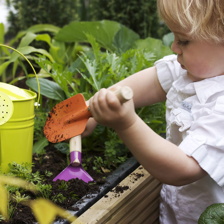 Early Learning Centre Petrie